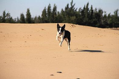 开放世界FPS《终结者：幸存者》10月抢鲜体验